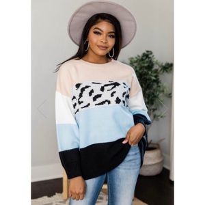Pink Lily Animal Print Colorblock Sweater